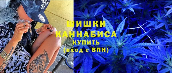 Альфа ПВП Аркадак