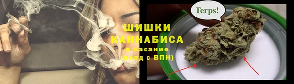 крисы Арсеньев