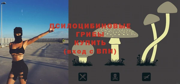 крисы Армянск