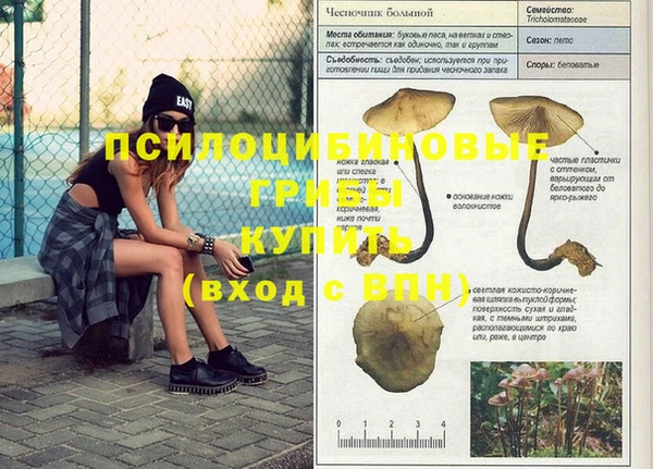 крисы Арсеньев
