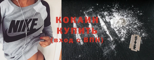 Альфа ПВП Аркадак