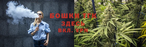 Альфа ПВП Аркадак