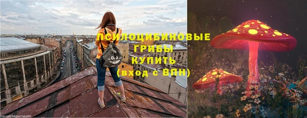 крисы Армянск