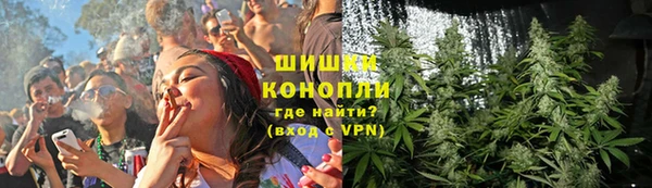 Альфа ПВП Аркадак
