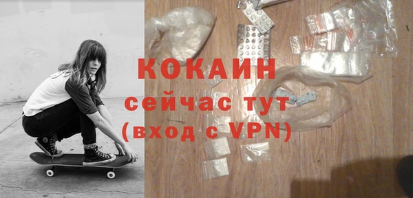 Альфа ПВП Аркадак