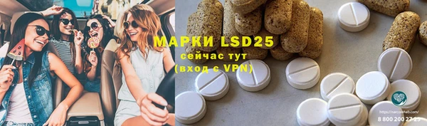 крисы Армянск